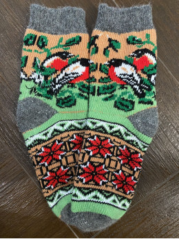 Жіночі шкарпетки з пташкою і листочком