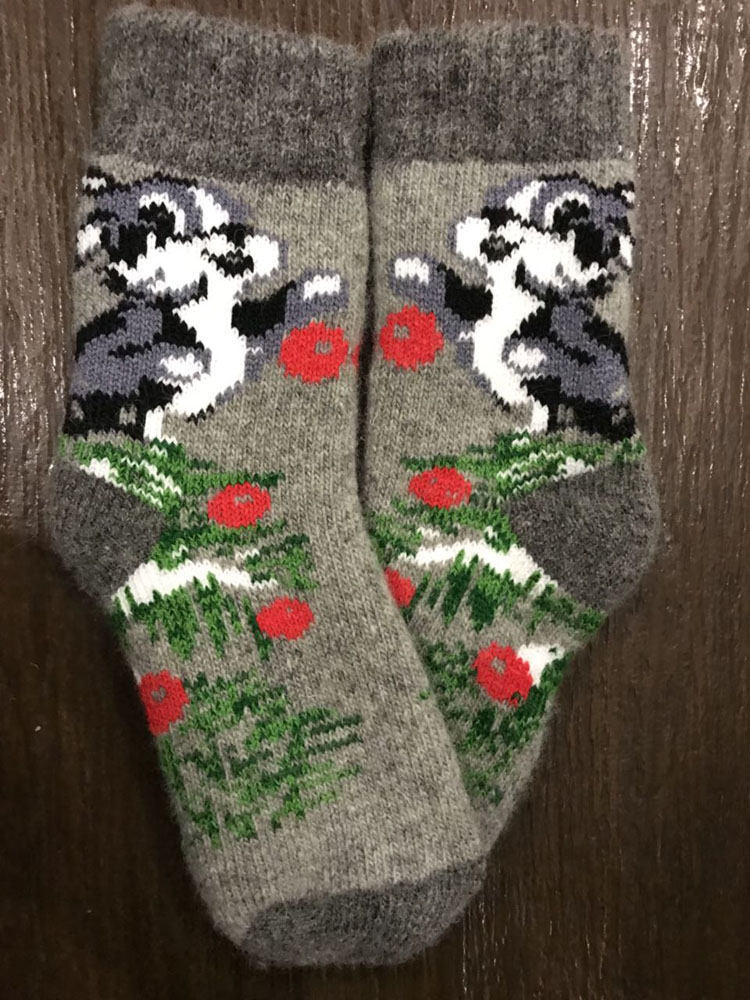 Шкарпетки для школярів